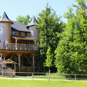 château dans les arbres