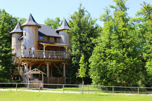 château dans les arbres