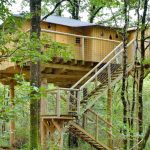 Escaliers pour accéder à la maison nichée dans les arbres