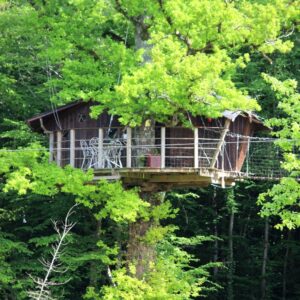 Une cabane dans un arbre dans la Vienne