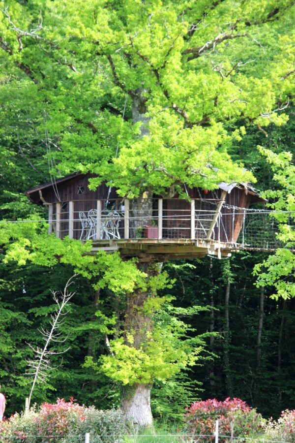 Une cabane dans un arbre dans la Vienne