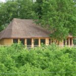 Salle dans les arbres