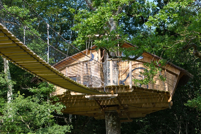 Dormir Dans Une Cabane Les Arbres