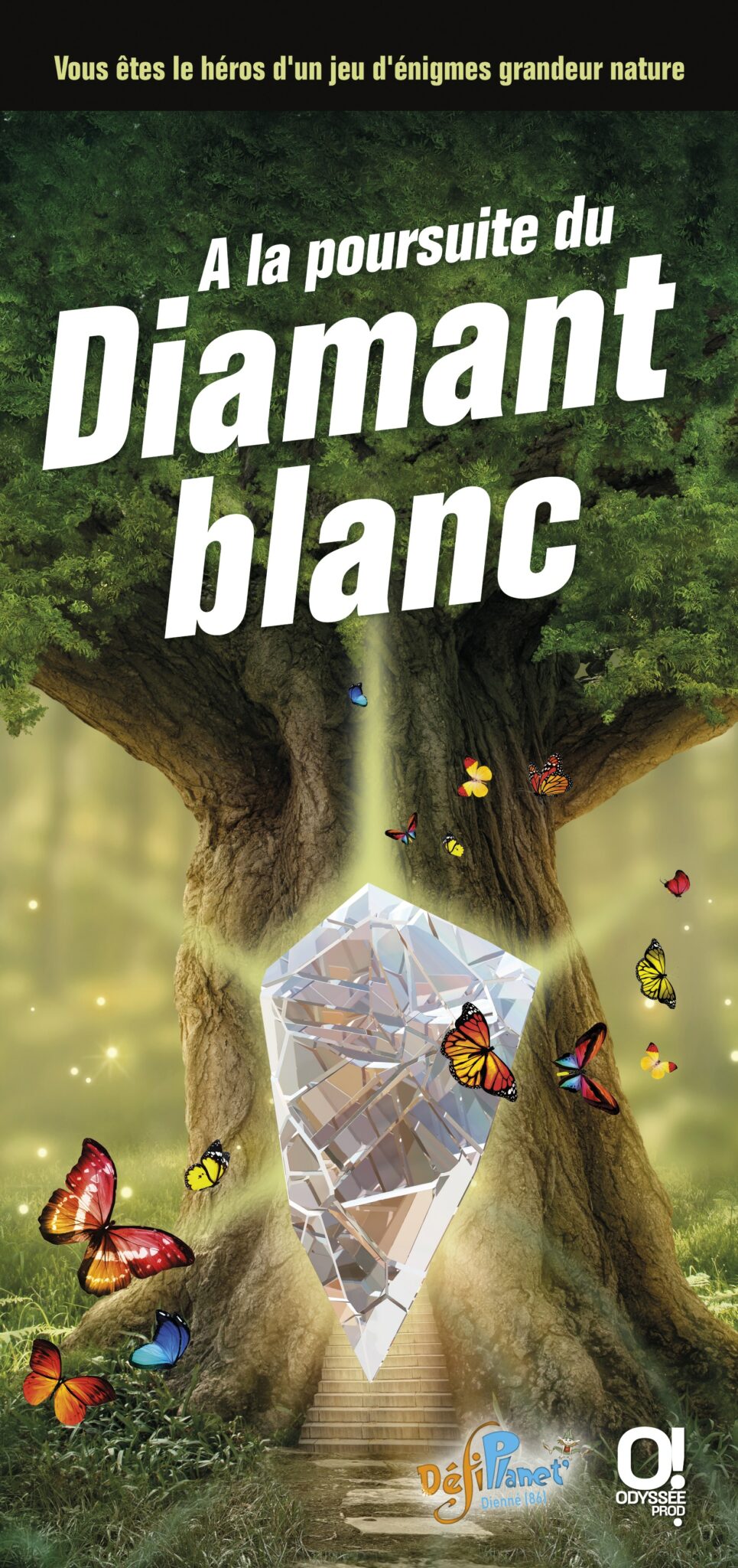 Couv A LA POURSUITE DU DIAMANT BLANC