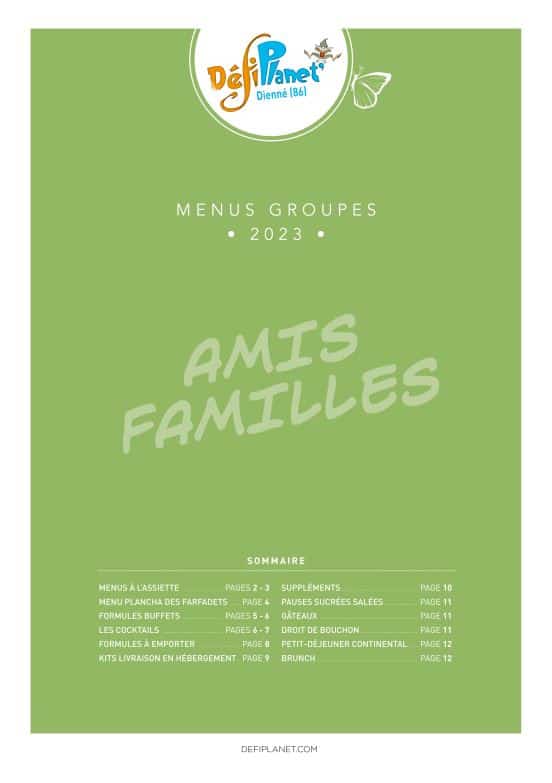 capture famille amis