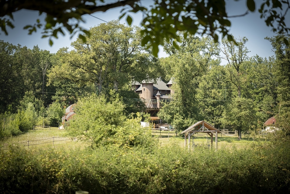 Chateau dans les arbres