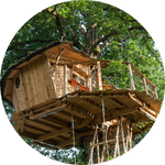 cabane-arbres