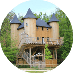 chateau-arbres