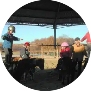 horse-riding-2