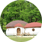 maison-champignons