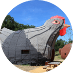 maison-poule