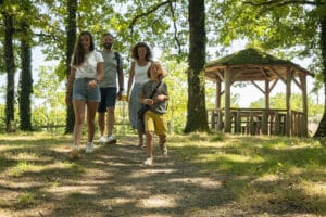 Balade en forêt pour renouer avec la beauté naturelle