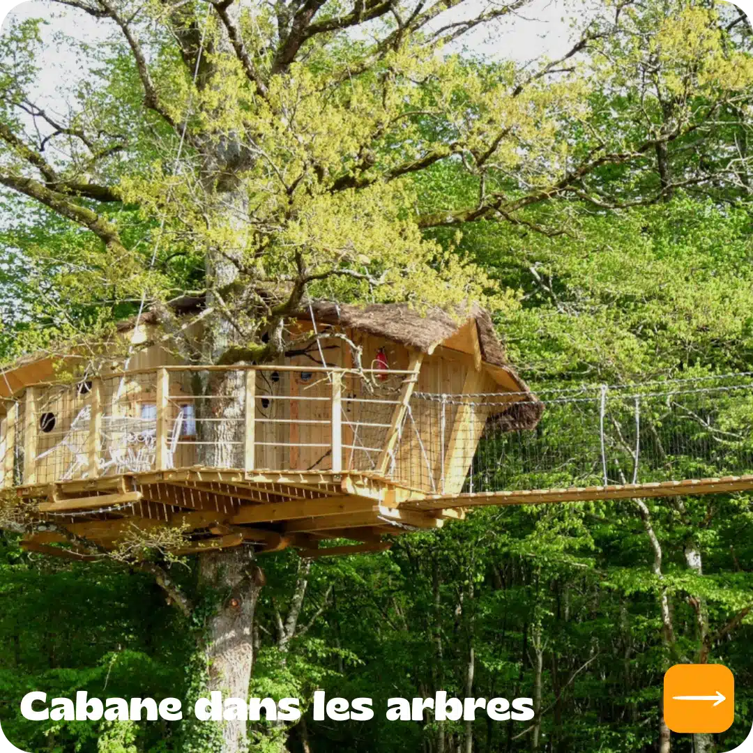 Cabane dans les arbres (1)
