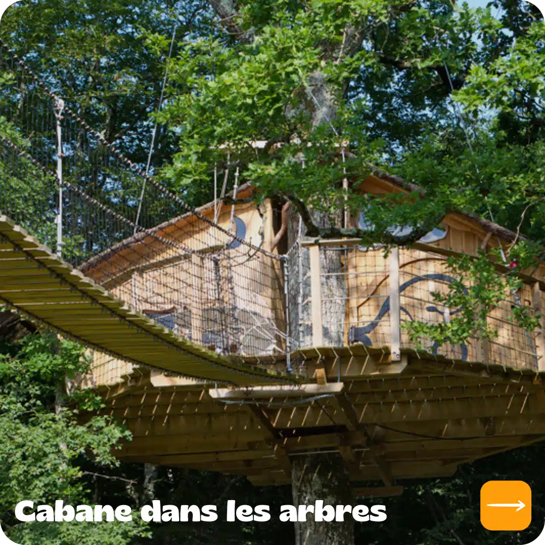 Cabane dans les arbres