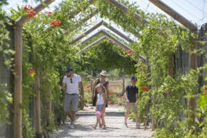 vacances dans la vienne