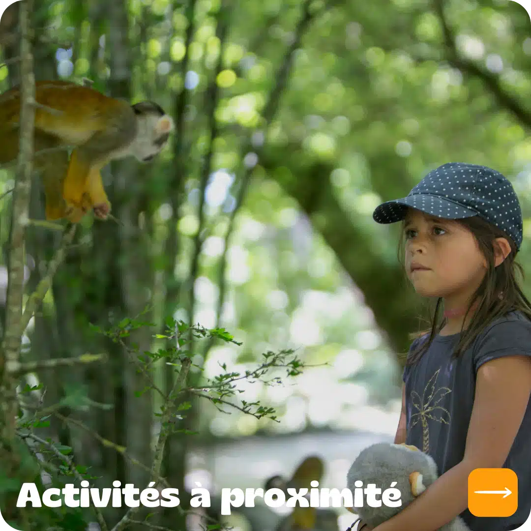 Activités à proximité (1)