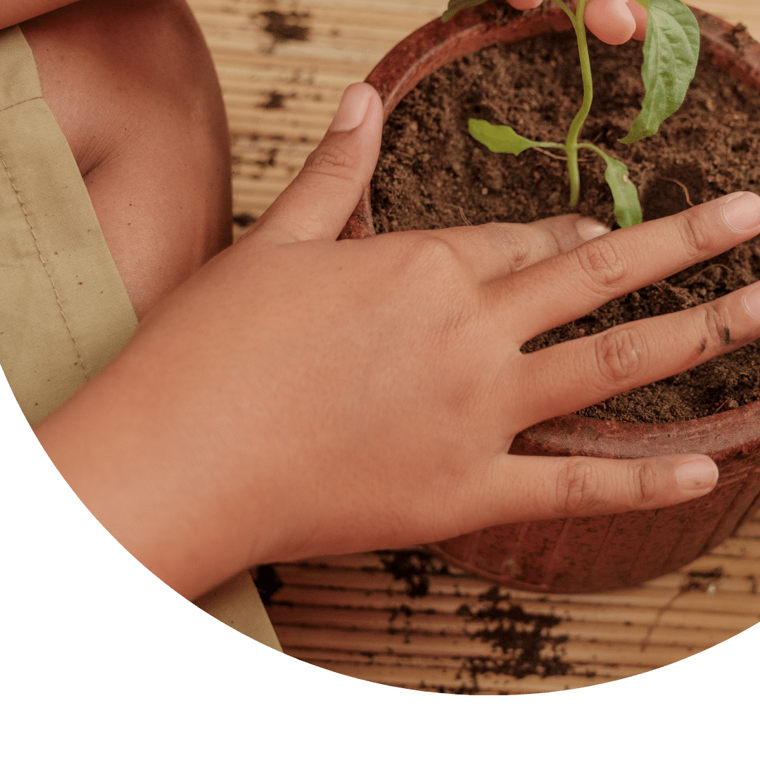Animations - plante ton pot (1) Animations - plante ton pot (1)