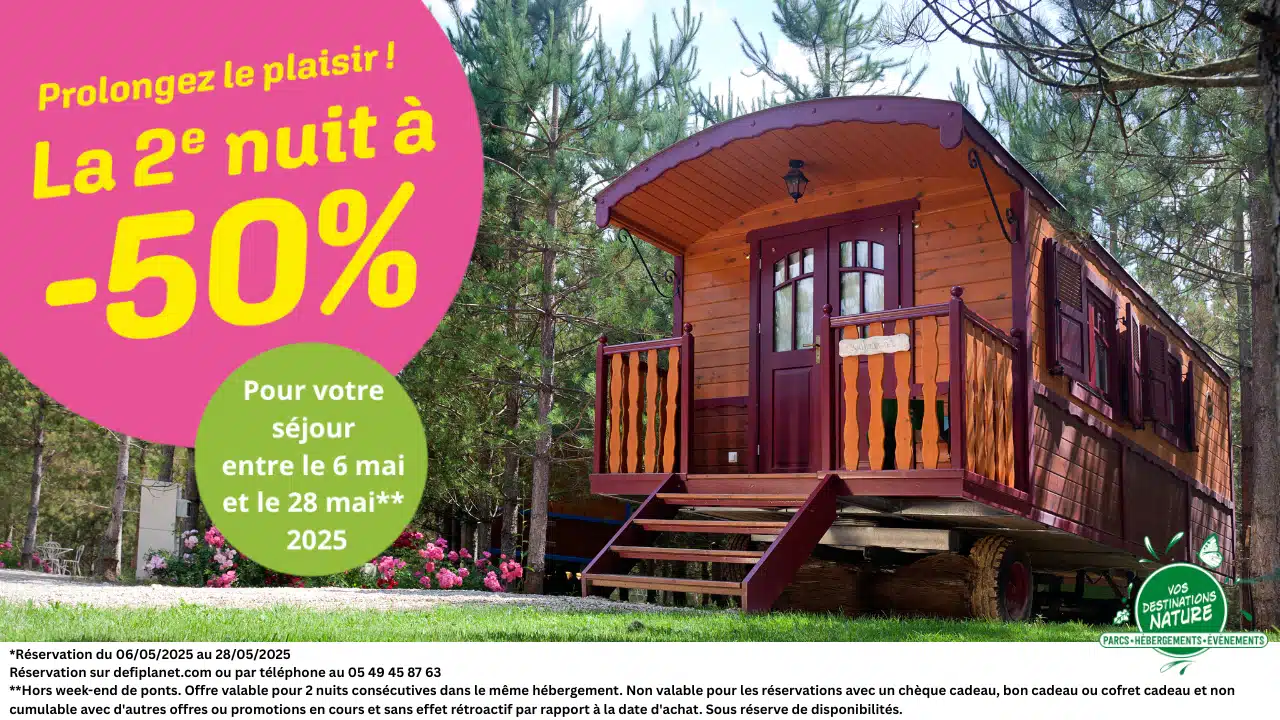 Bannière site web PDB - offre 15%