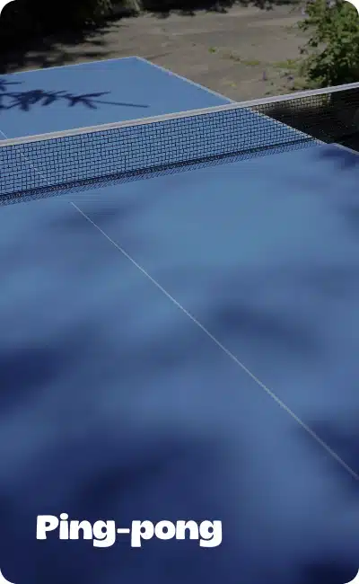 Ping pong (2)
