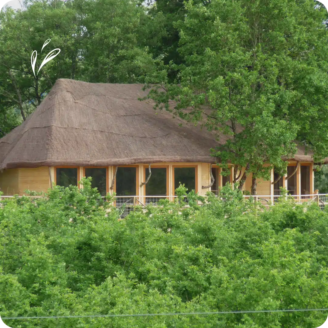 Salle des chars (2)