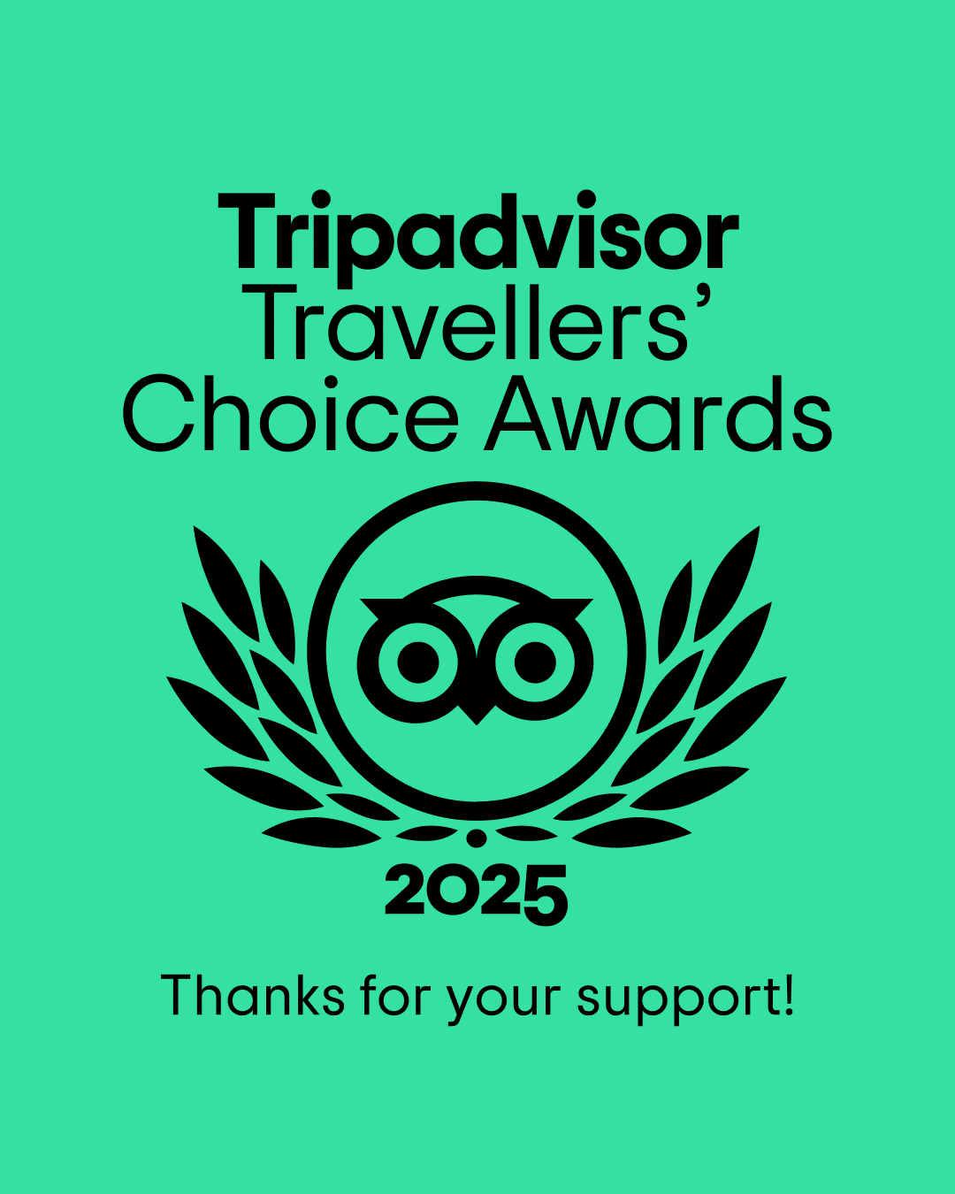 TC_thank you social_LL_1080 x 1350_2025