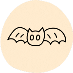 à la découverte des chauves souris (1) à la découverte des chauves souris (1)