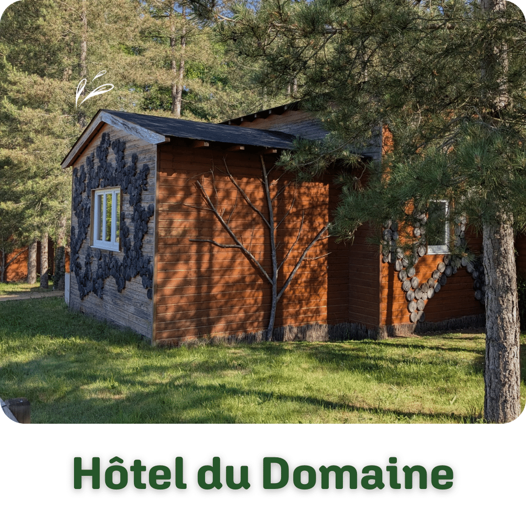 Hôtel du Domaine